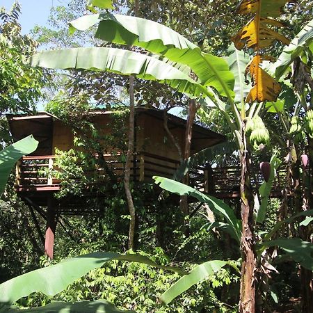 Willa Treehouse Pilon Pavones Pavones  Zewnętrze zdjęcie
