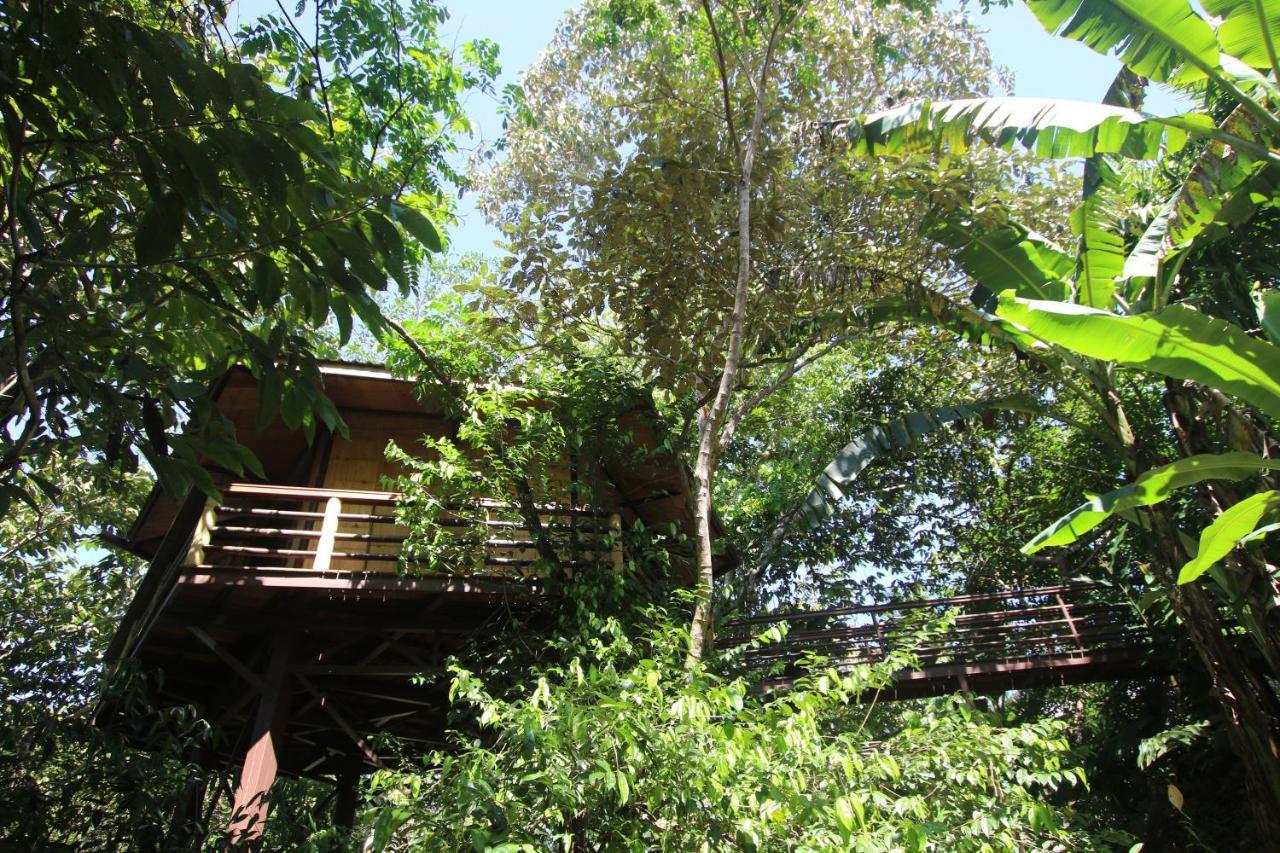 Willa Treehouse Pilon Pavones Pavones  Zewnętrze zdjęcie