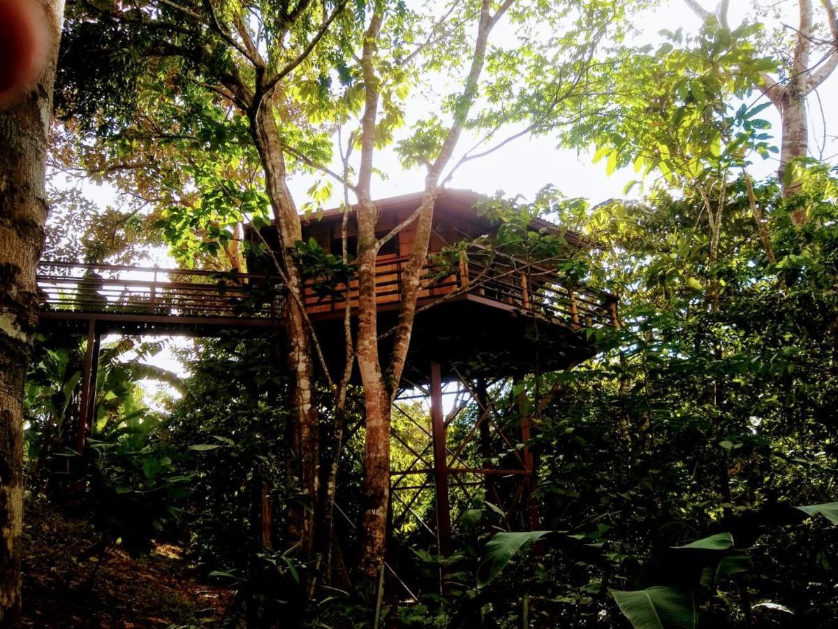 Willa Treehouse Pilon Pavones Pavones  Zewnętrze zdjęcie