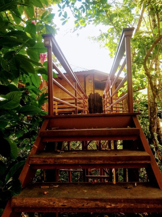 Willa Treehouse Pilon Pavones Pavones  Zewnętrze zdjęcie