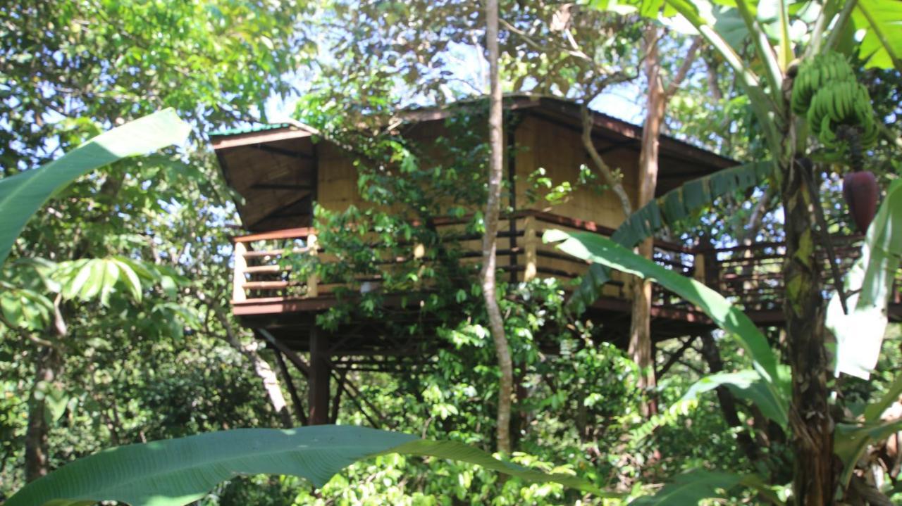 Willa Treehouse Pilon Pavones Pavones  Zewnętrze zdjęcie