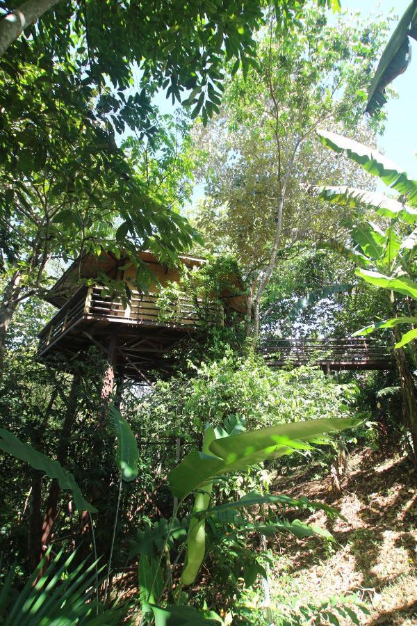 Willa Treehouse Pilon Pavones Pavones  Zewnętrze zdjęcie