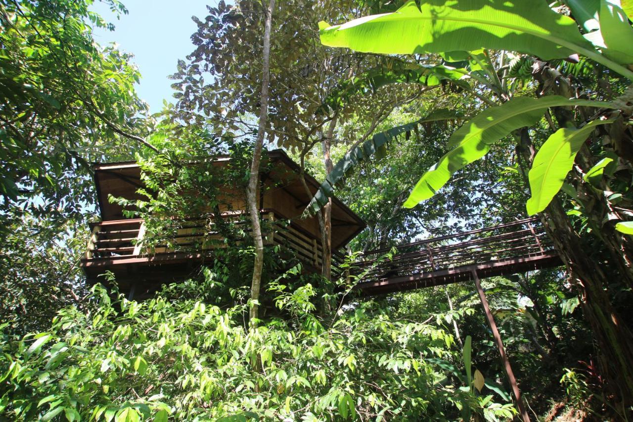 Willa Treehouse Pilon Pavones Pavones  Zewnętrze zdjęcie