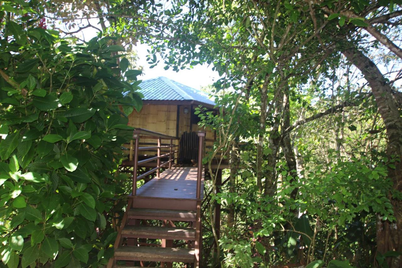 Willa Treehouse Pilon Pavones Pavones  Zewnętrze zdjęcie