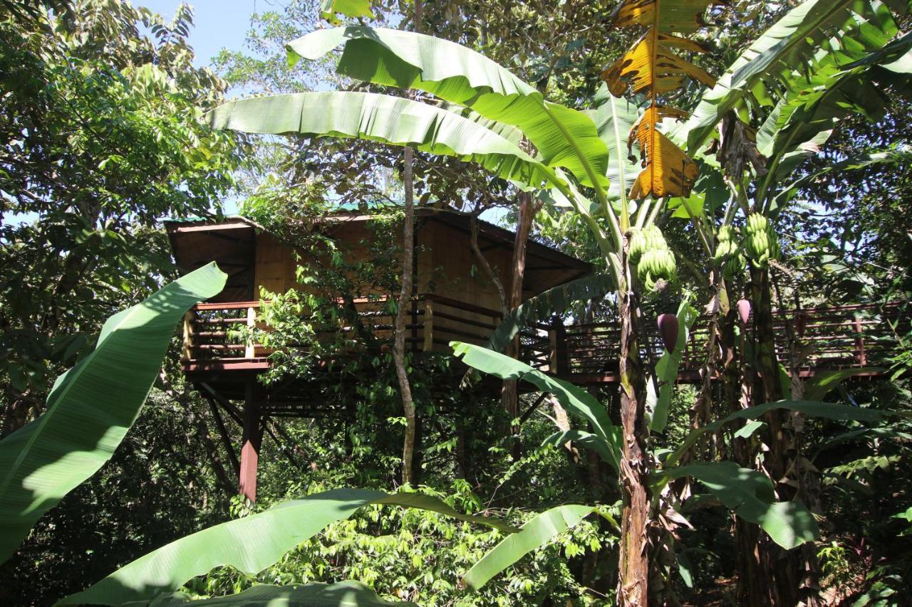 Willa Treehouse Pilon Pavones Pavones  Zewnętrze zdjęcie