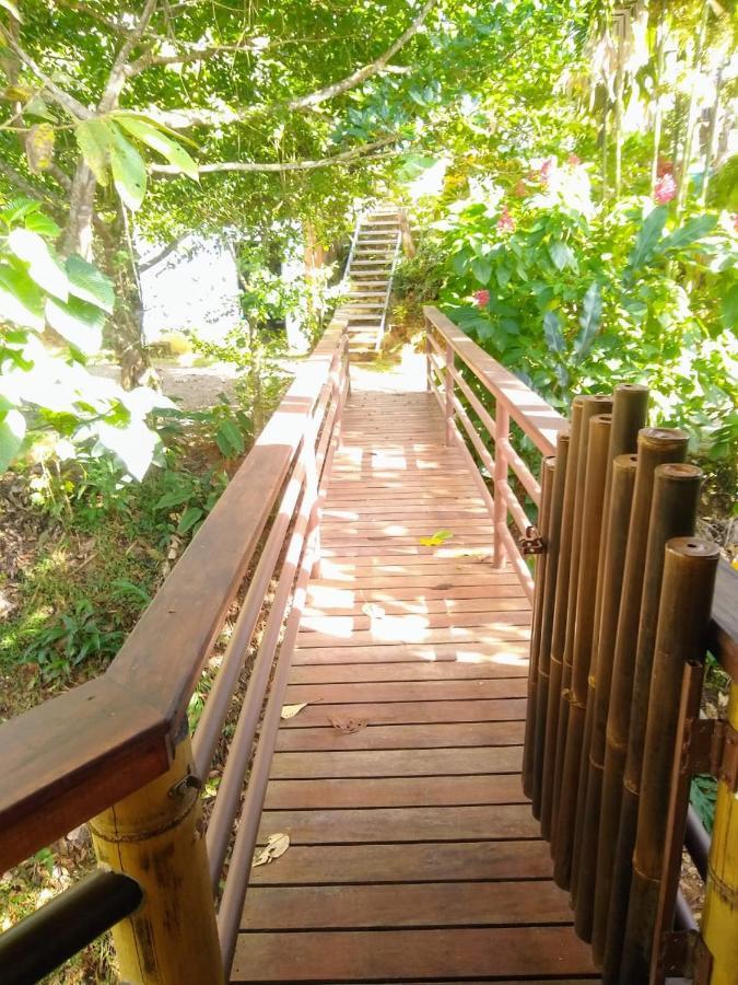 Willa Treehouse Pilon Pavones Pavones  Zewnętrze zdjęcie