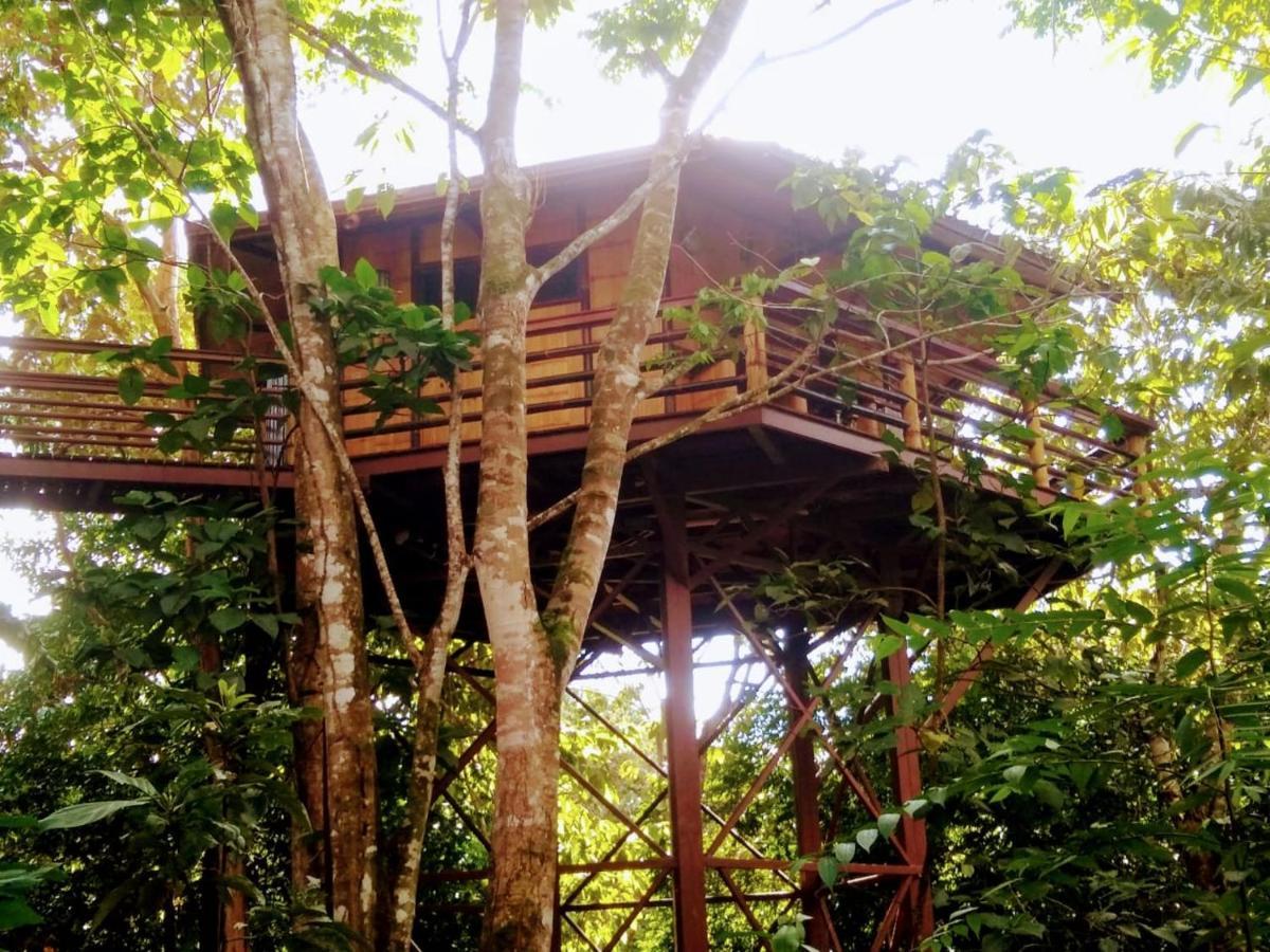 Willa Treehouse Pilon Pavones Pavones  Zewnętrze zdjęcie