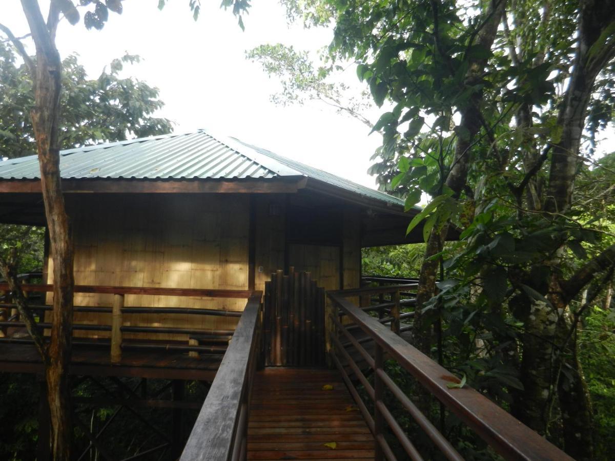 Willa Treehouse Pilon Pavones Pavones  Zewnętrze zdjęcie