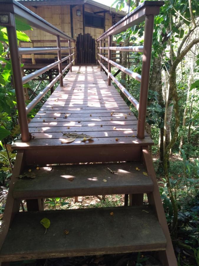 Willa Treehouse Pilon Pavones Pavones  Zewnętrze zdjęcie