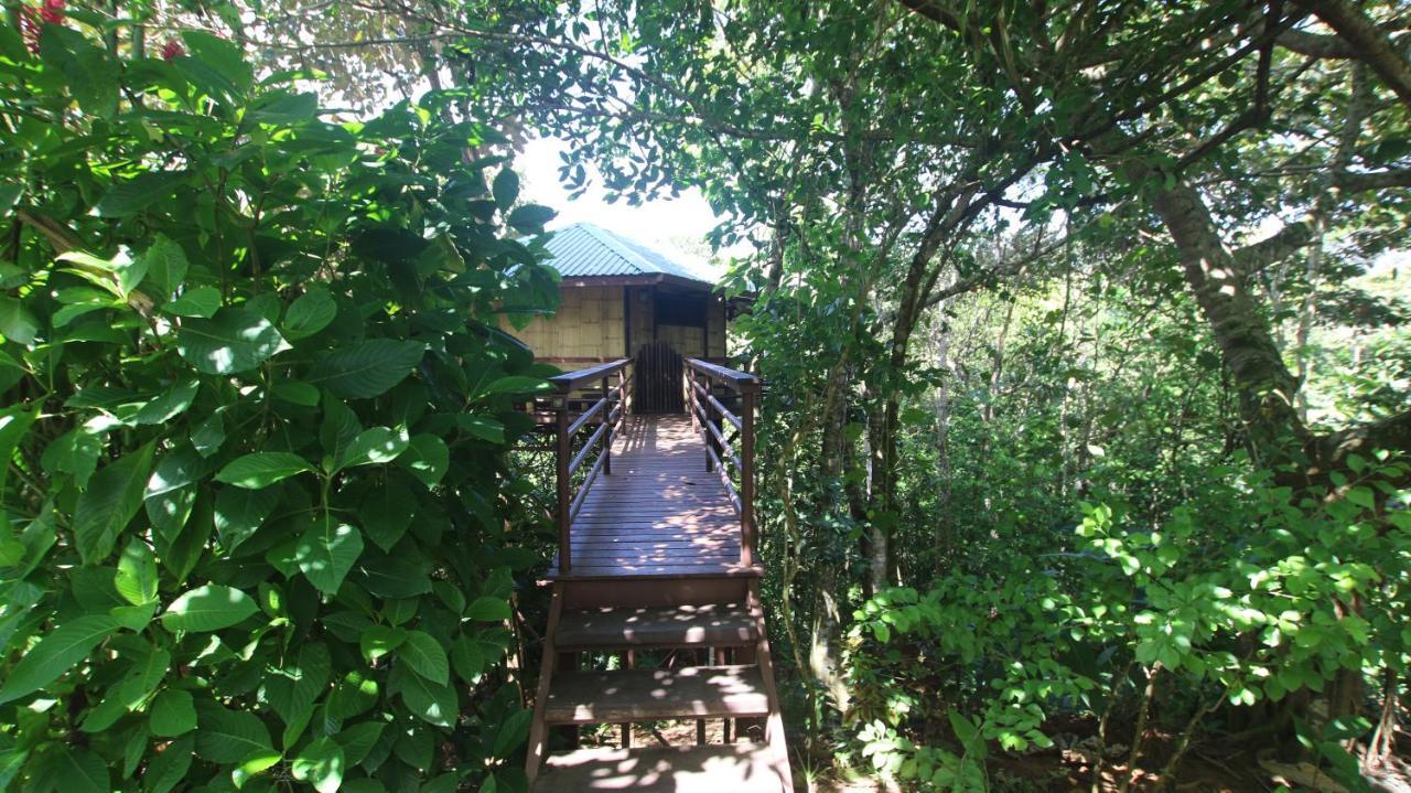 Willa Treehouse Pilon Pavones Pavones  Zewnętrze zdjęcie