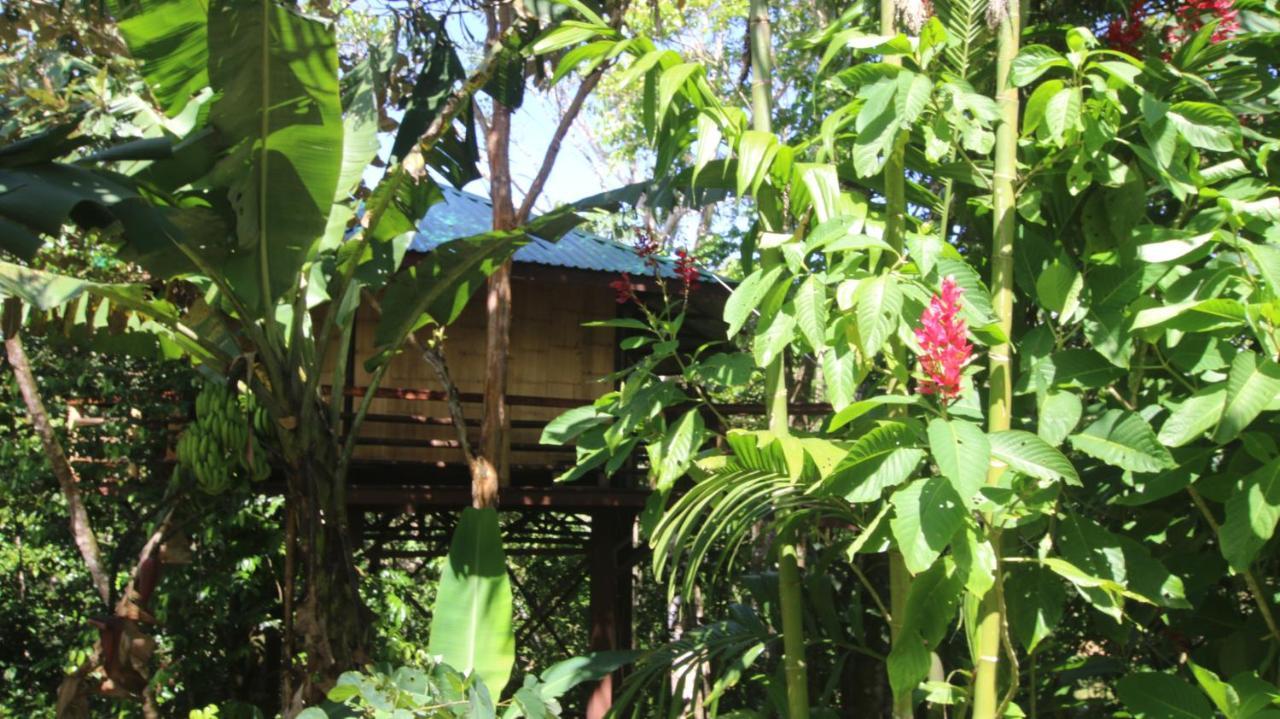 Willa Treehouse Pilon Pavones Pavones  Zewnętrze zdjęcie