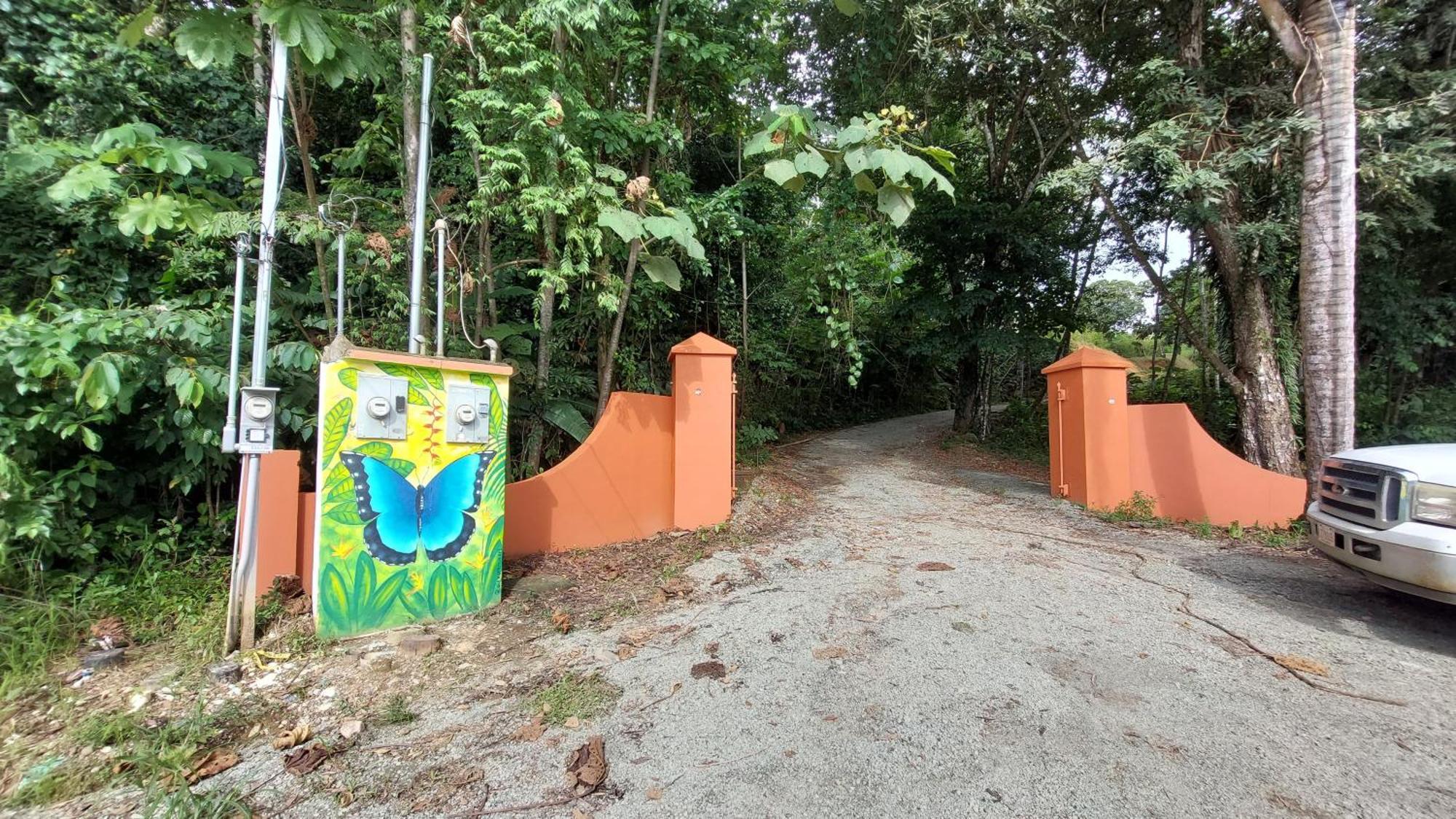 Willa Treehouse Pilon Pavones Pavones  Zewnętrze zdjęcie